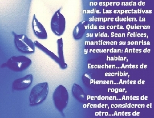 La Ley del 20/80
